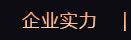 企業(yè)實力